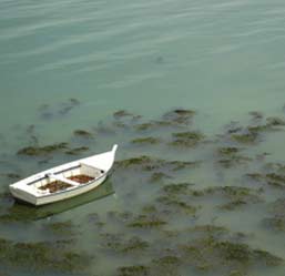 bateau à Arzon