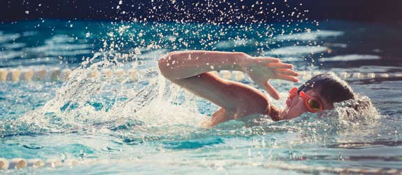 Aquatic space in the morbihan