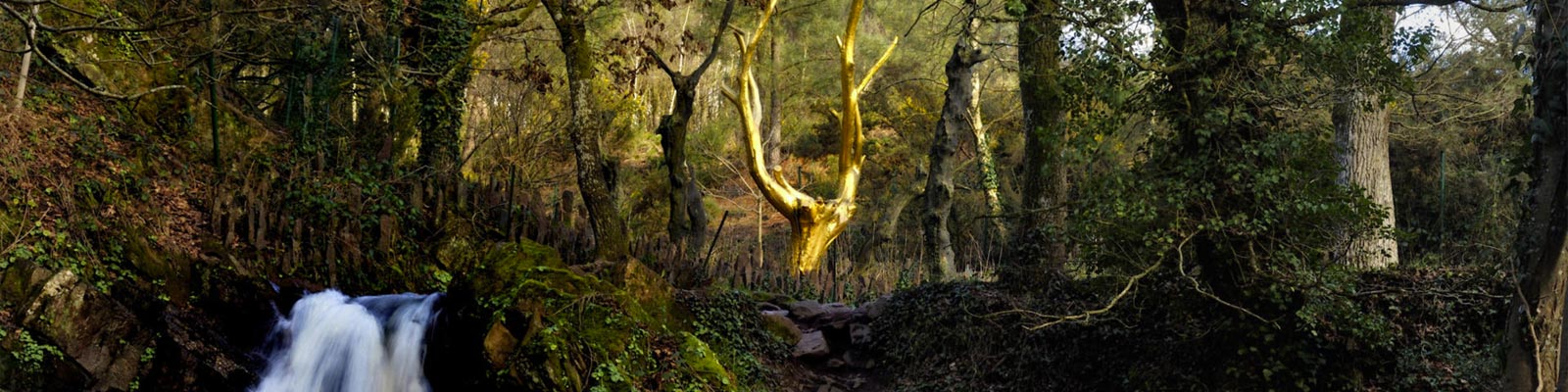 la forêt de Brocéliande