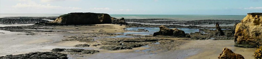 La plage de la Mine d'0r à Pénestin