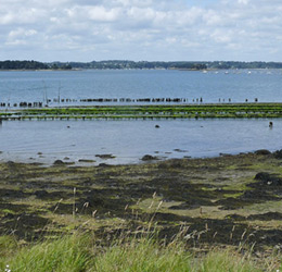 activite loisirs morbihan