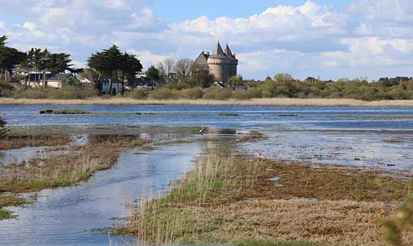 chateau suscinio sarzeau