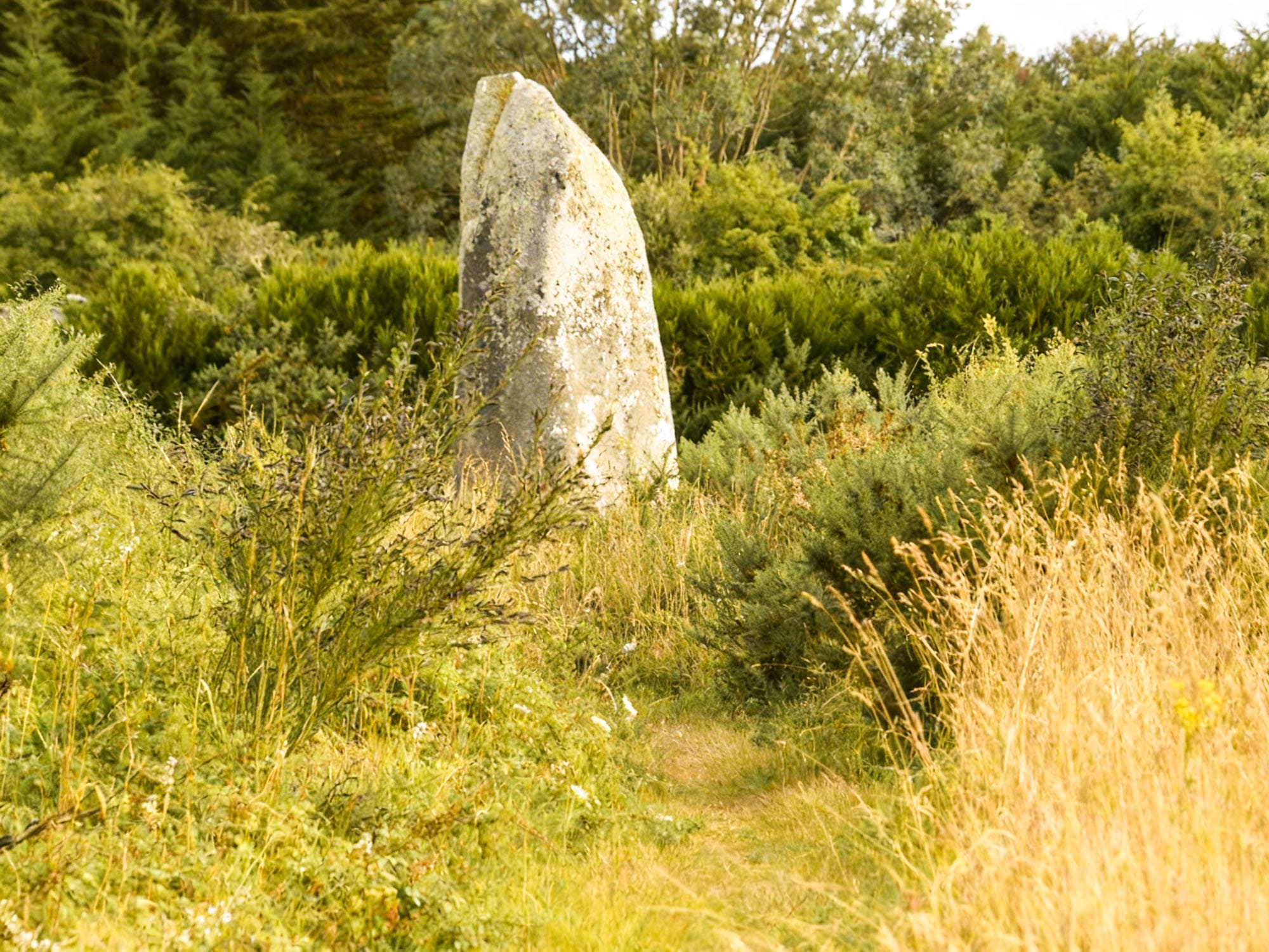 Sarzeau menhir kermaillard guegen amonen bretagne