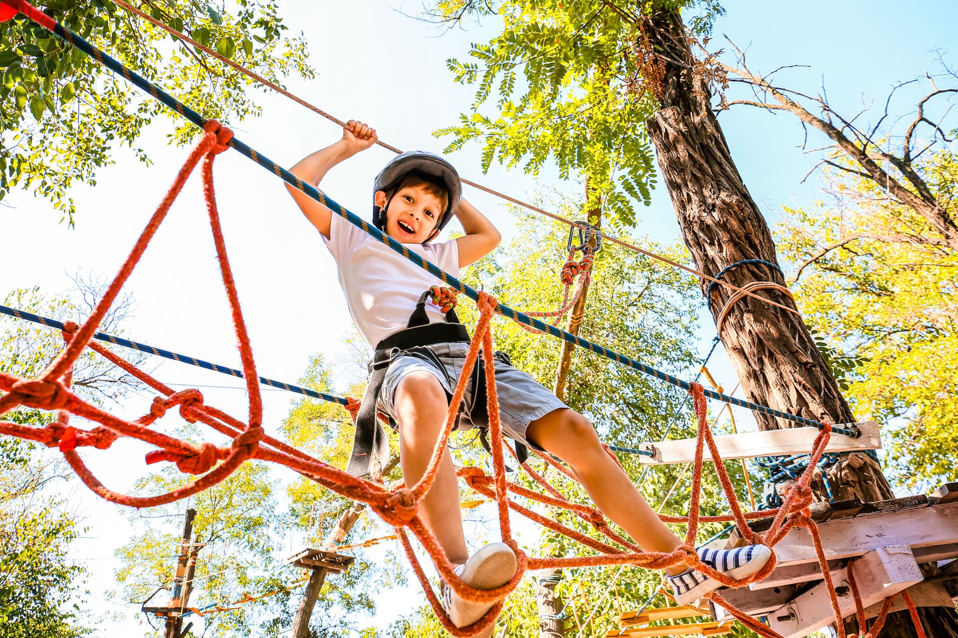 accrobranche carnac aventure foret enfants