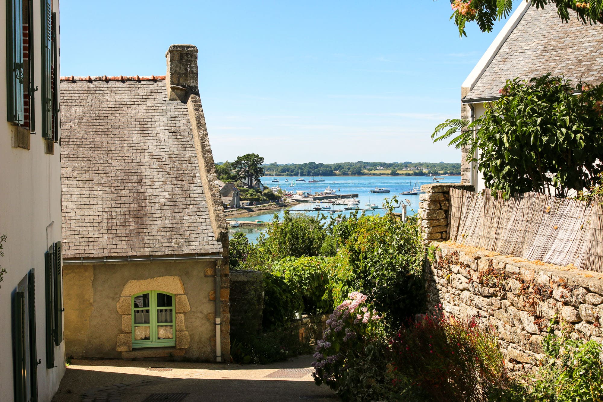 camping rhuys île arz morbihan verdure