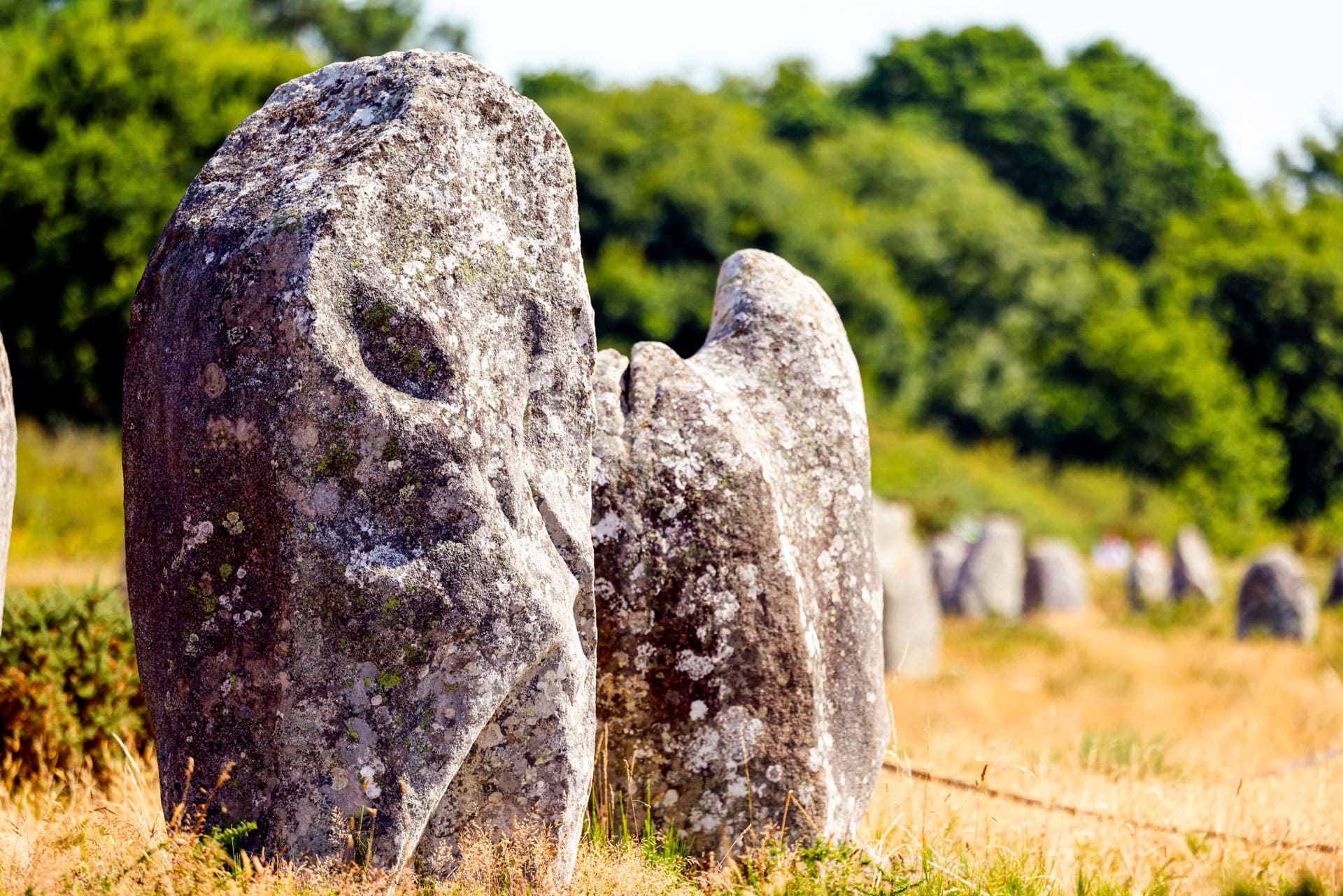 carnac alignements menhir préhistoire mégalithe
