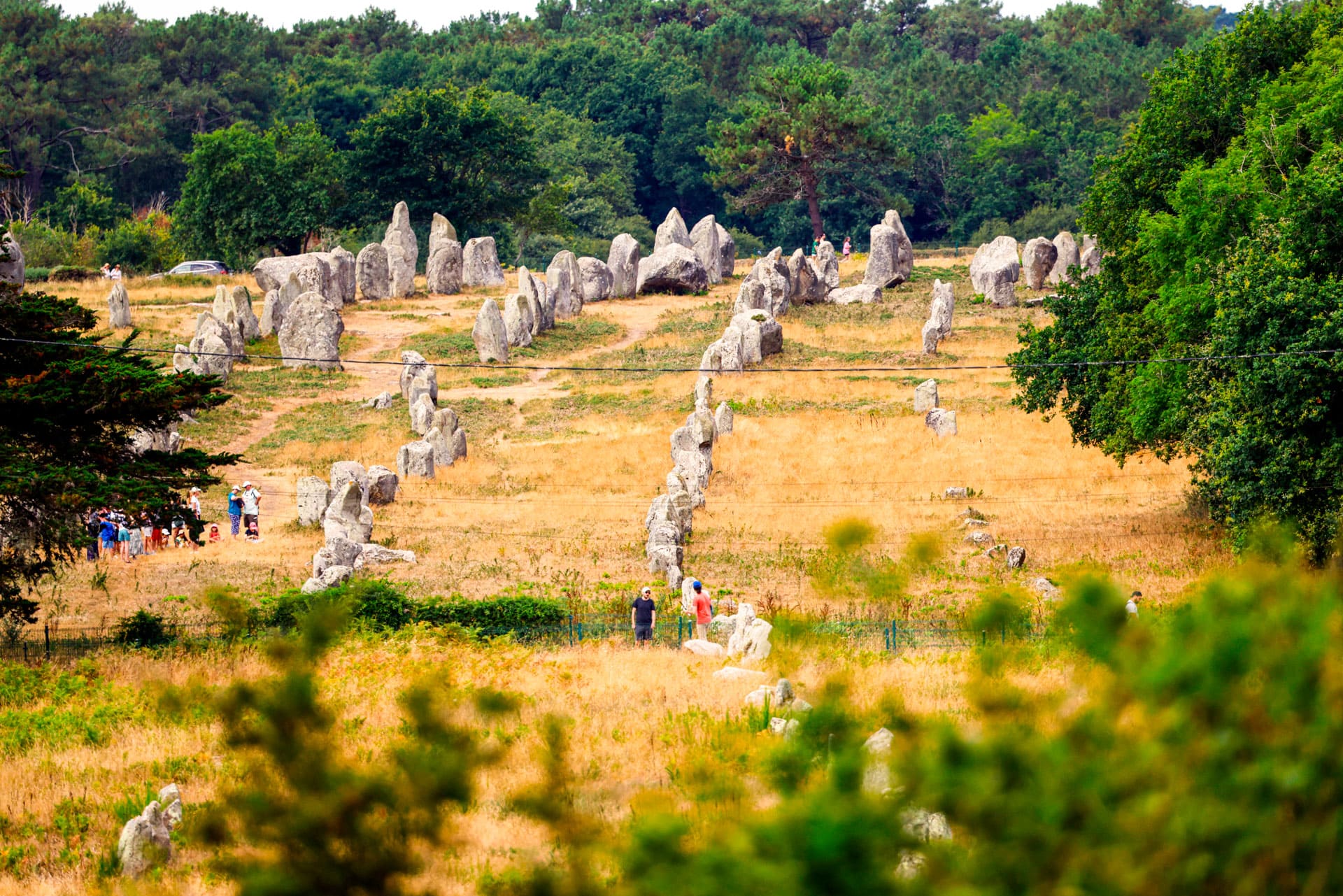 carnac terre chargé histoire menhis mégalithes