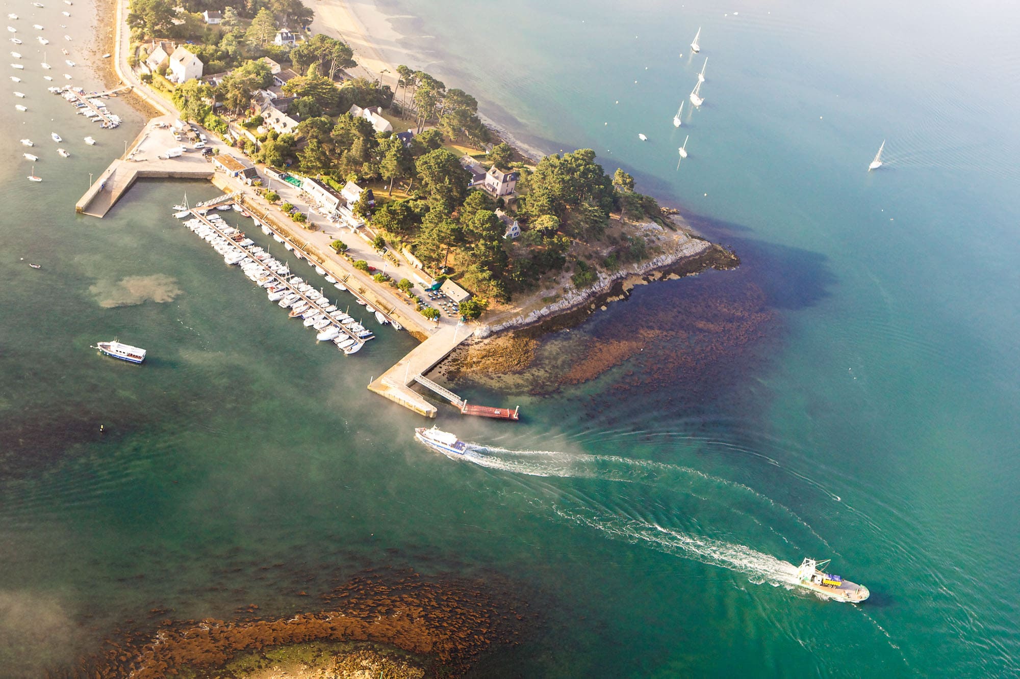 île aux moines morbihan