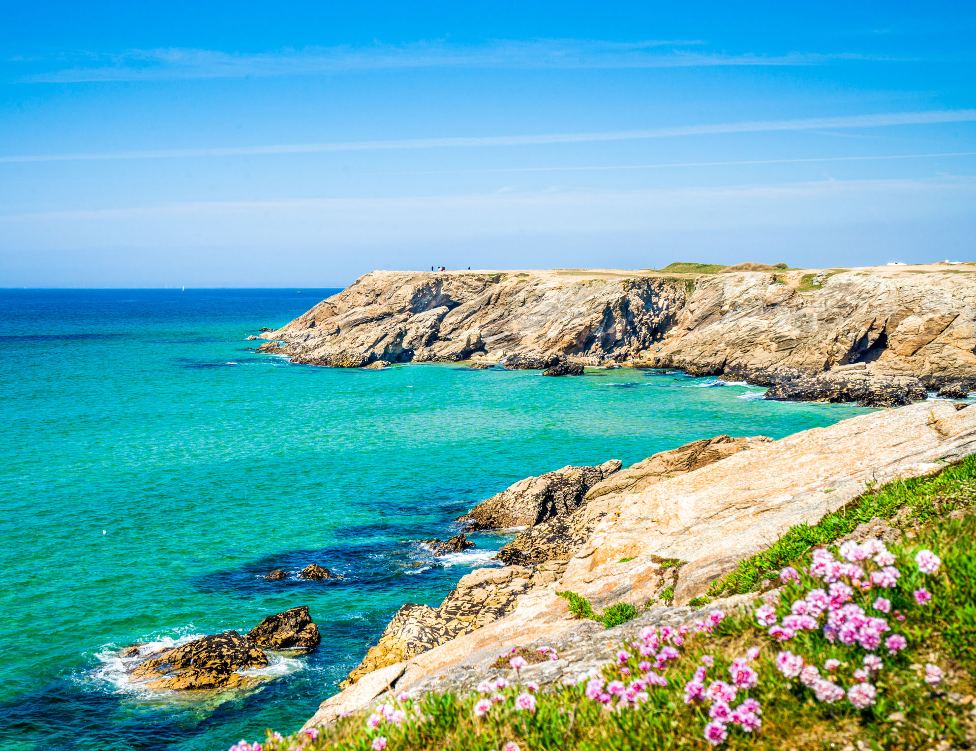 quiberon guide touristique côté sauvage