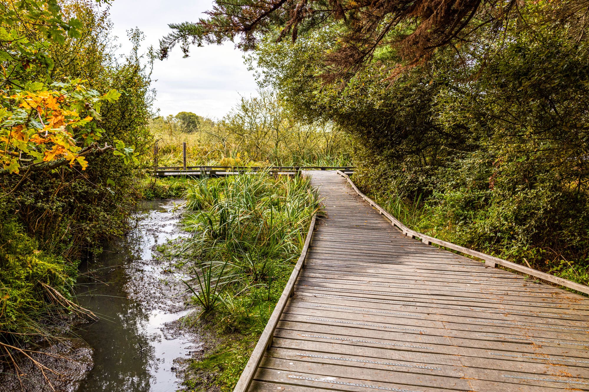 sarzeau domaine de suscinio grand air